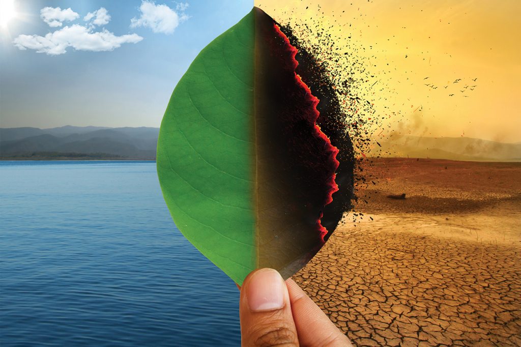 Man holding a leaf in front of old and new landscapes